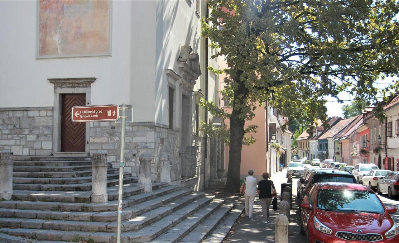 Pink House Studio Любляна Экстерьер фото